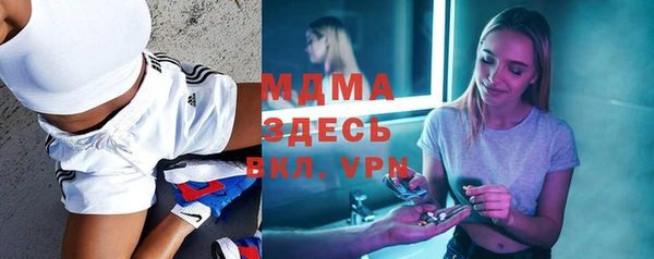 индика Алексин