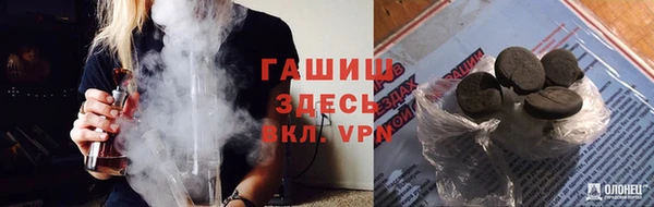 индика Алексин