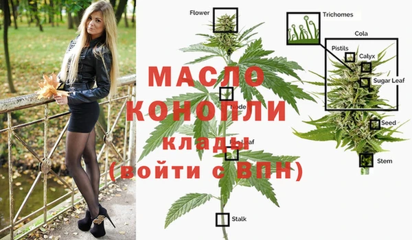 индика Алексин
