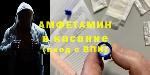 индика Алексин