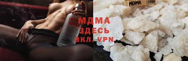индика Алексин