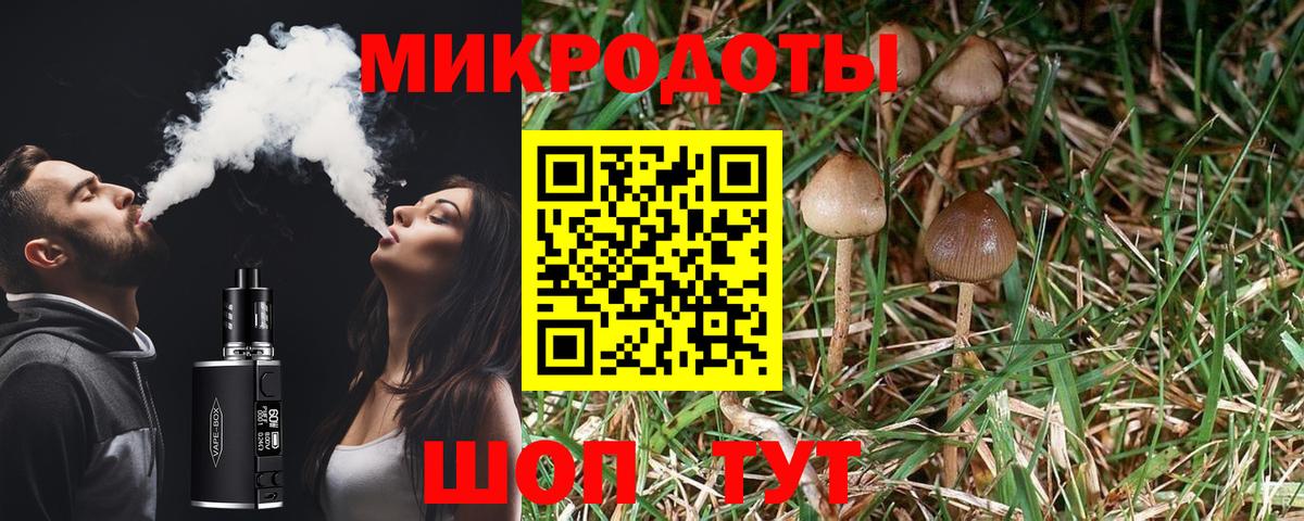 Псилоцибиновые грибы мицелий Новошахтинск