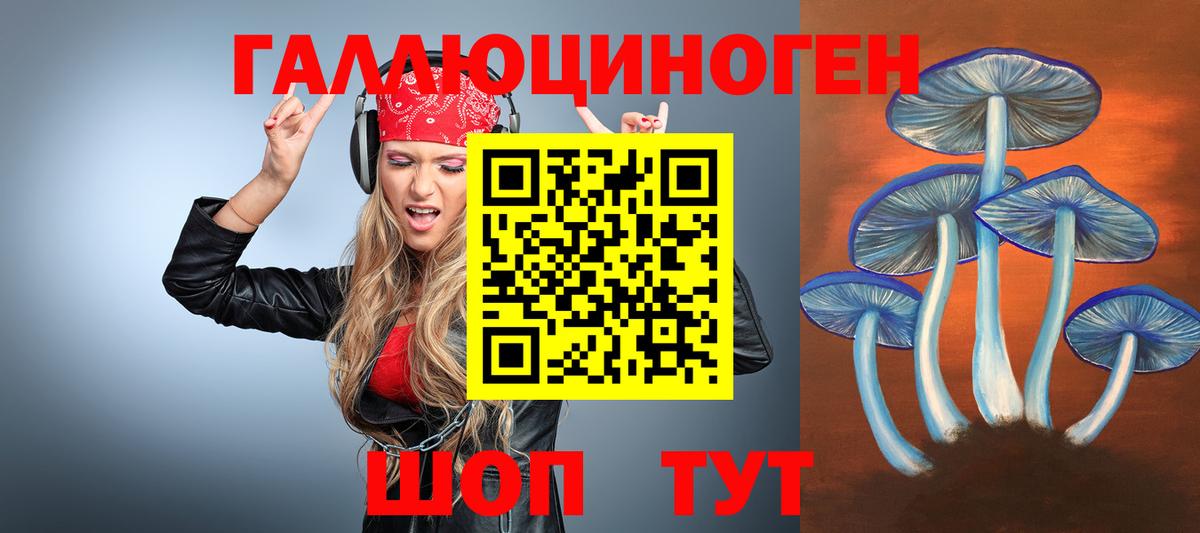 Псилоцибиновые грибы Magic Shrooms  Вход с VPN  Галлюциногенные грибы Psilocybine cubensis  Новошахтинск 